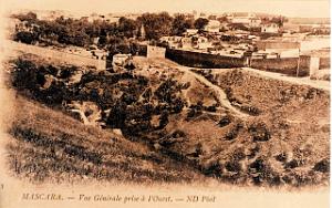 Mascara 036
